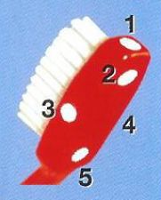 Reflexology of the mouth cavity - testina 2